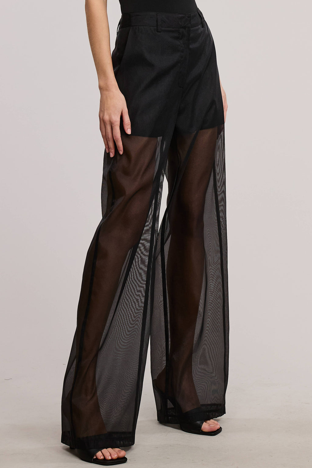 Straight Leg Sheer Organza Pants with Lined Shorts