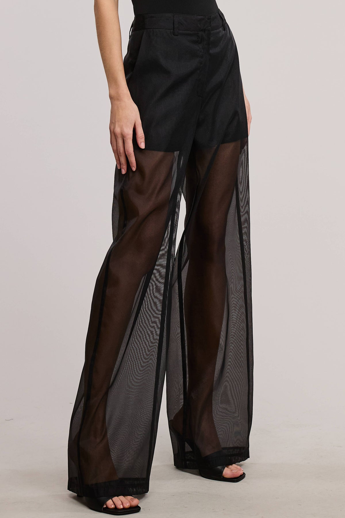 Straight Leg Sheer Organza Pants with Lined Shorts