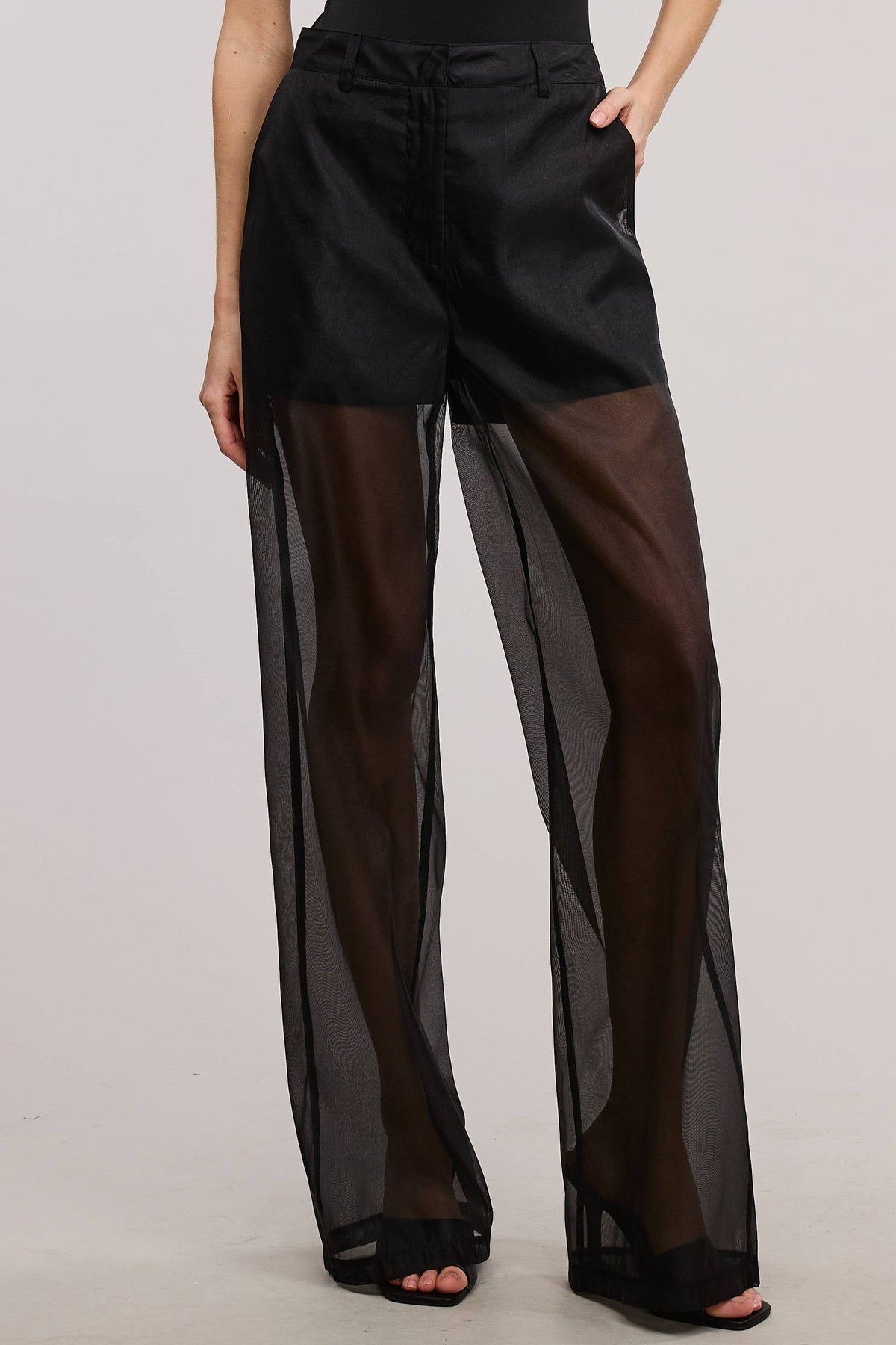 Straight Leg Sheer Organza Pants with Lined Shorts