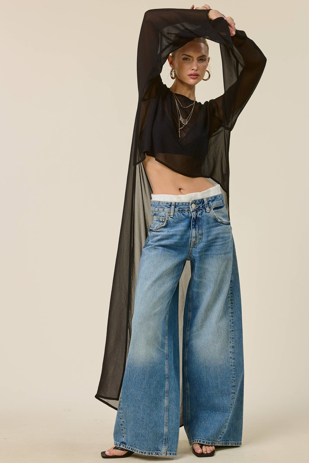 Sheer Long Sleeve Maxi Overlay Top: Black / S